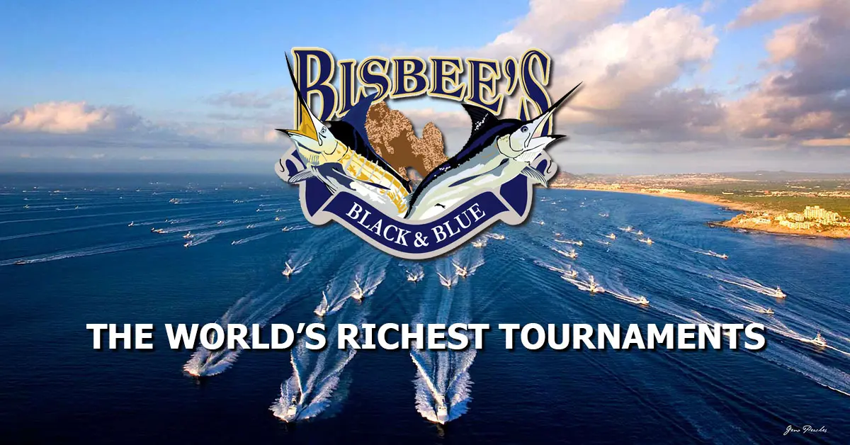 Bisbee's 25th East Cape Offshore Tournament begins