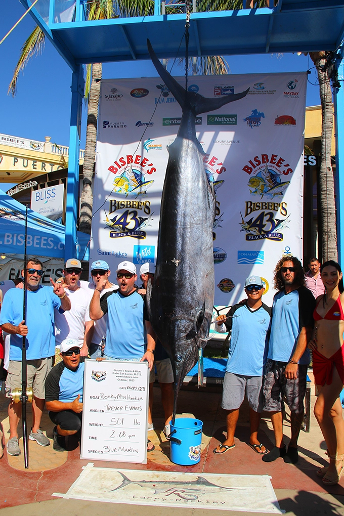 Bisbee’s Tournaments Dodged Norma’s Curveball, Succeeding in Netting Two Teams MILLIONS!