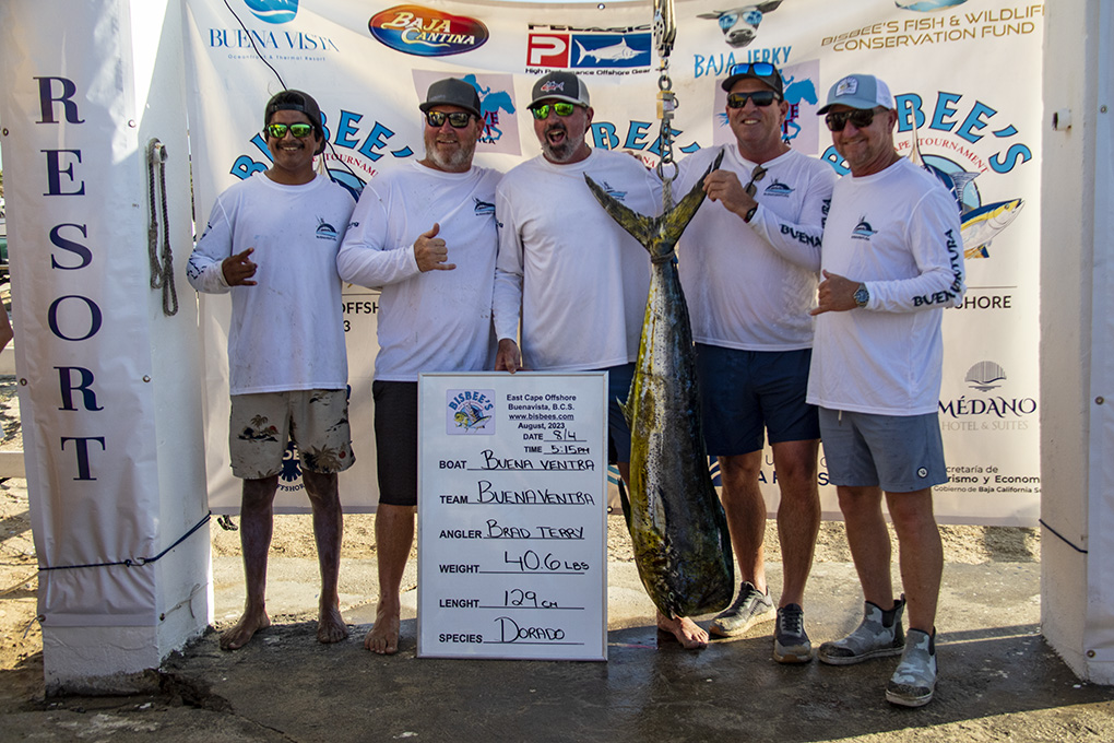 Day 3 belonged to Gamefish Division