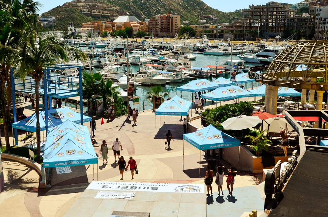 LOS CABOS OFFSHORE storms back