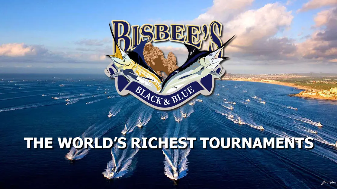 BULL RIDER LASSOES LARGEST MARLIN TO WIN  2016 BISBEE’S EAST CAPE OFFSHORE TOURNAMENT