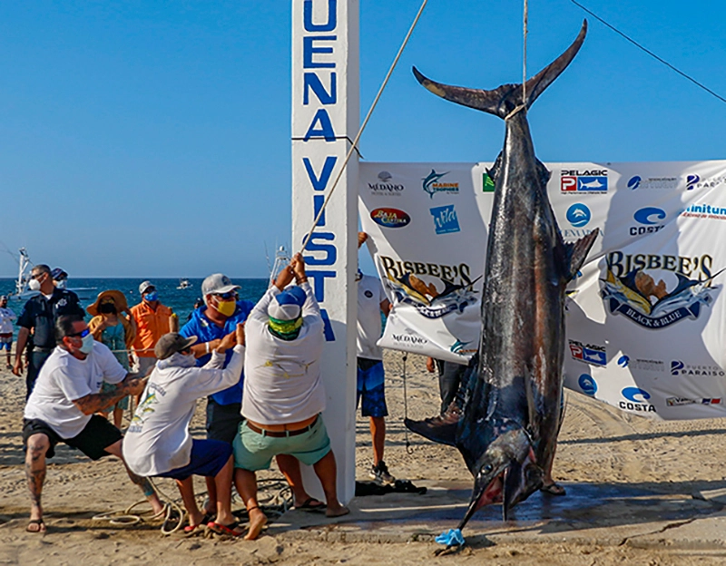 Bisbee’s 2020 East Cape Offshore Smashes Records!