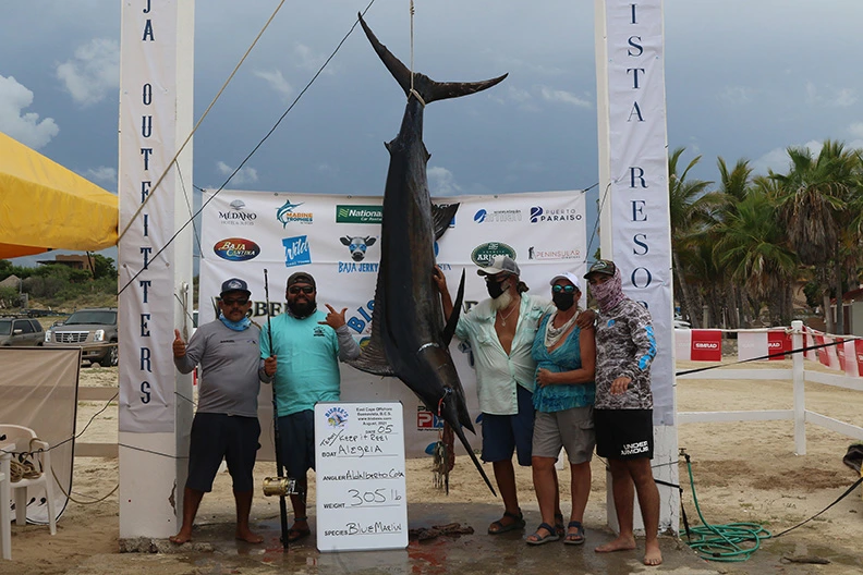 LOCAL TEAMS dominate Day Two!