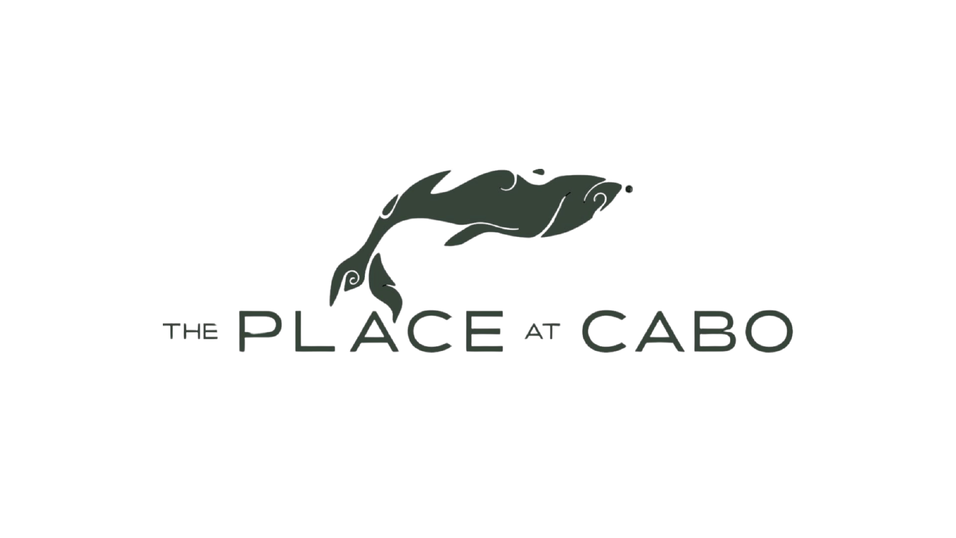 The PLACE at CABO Logo