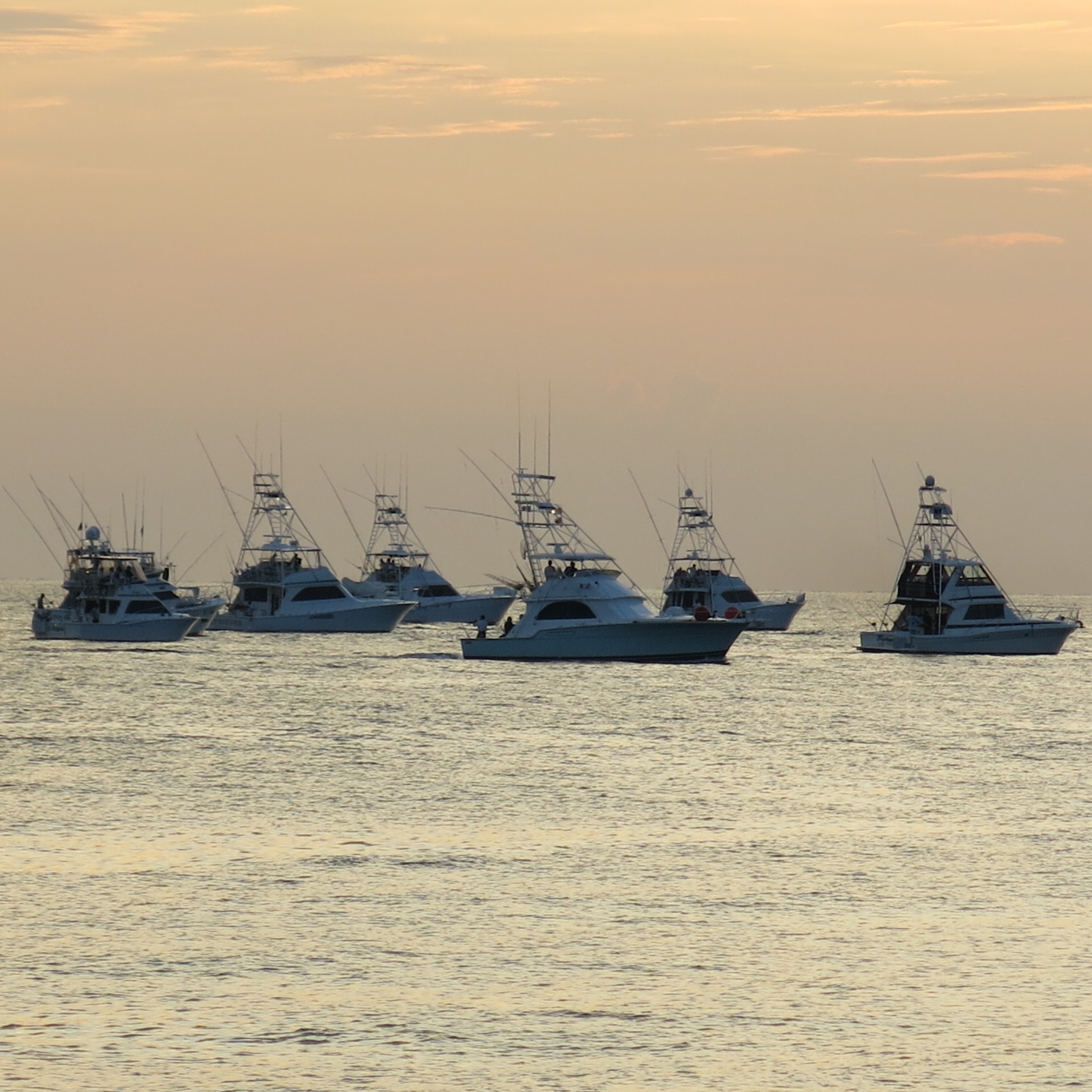 East Cape Offshore