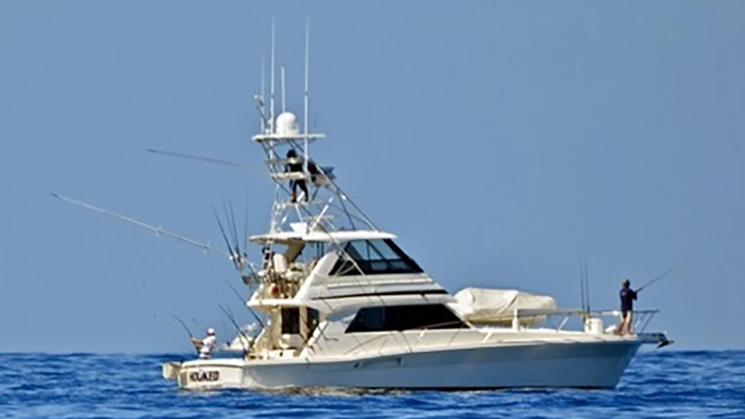 Image for Riviera 48' Enclosed Flybridge Luxury Sportfisher