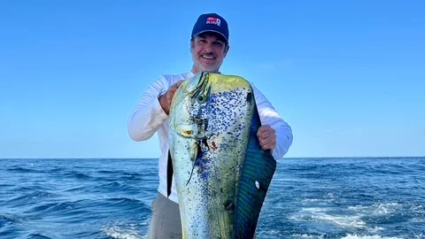 Image for Cabo Sportfishing Charters